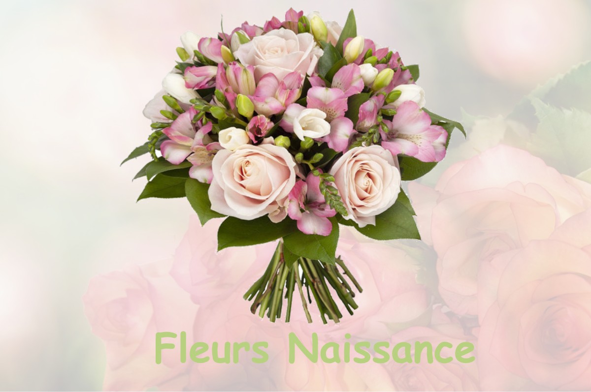 fleurs naissance SENCENAC-PUY-DE-FOURCHES