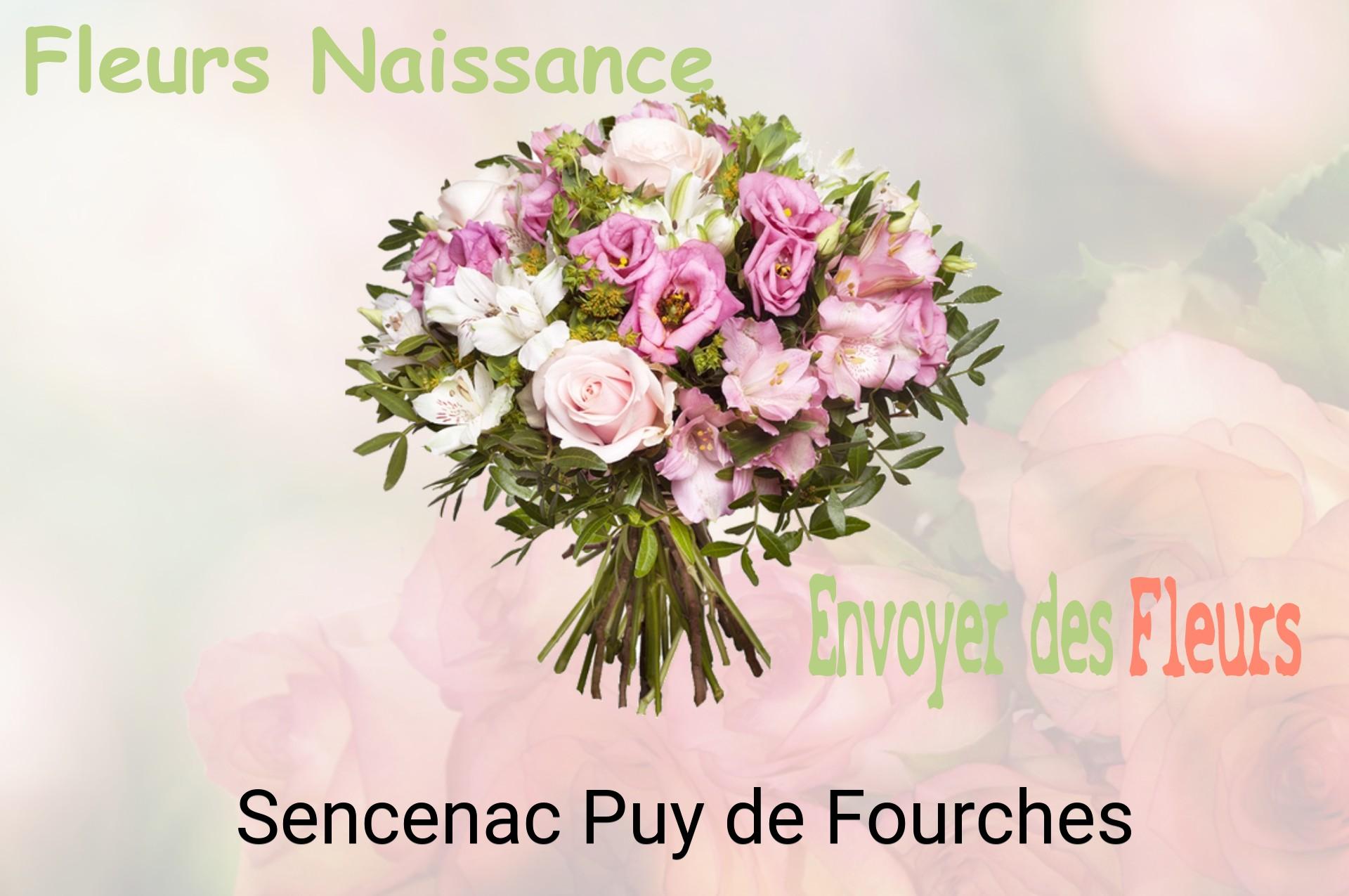 Bouquet de fleurs de naissance livré à Sencenac-Puy-de-Fourches